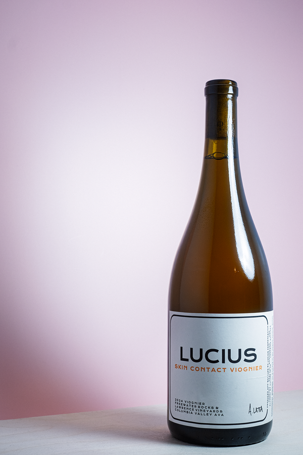 Lucius Skin Contact Viognier 2024 Orange